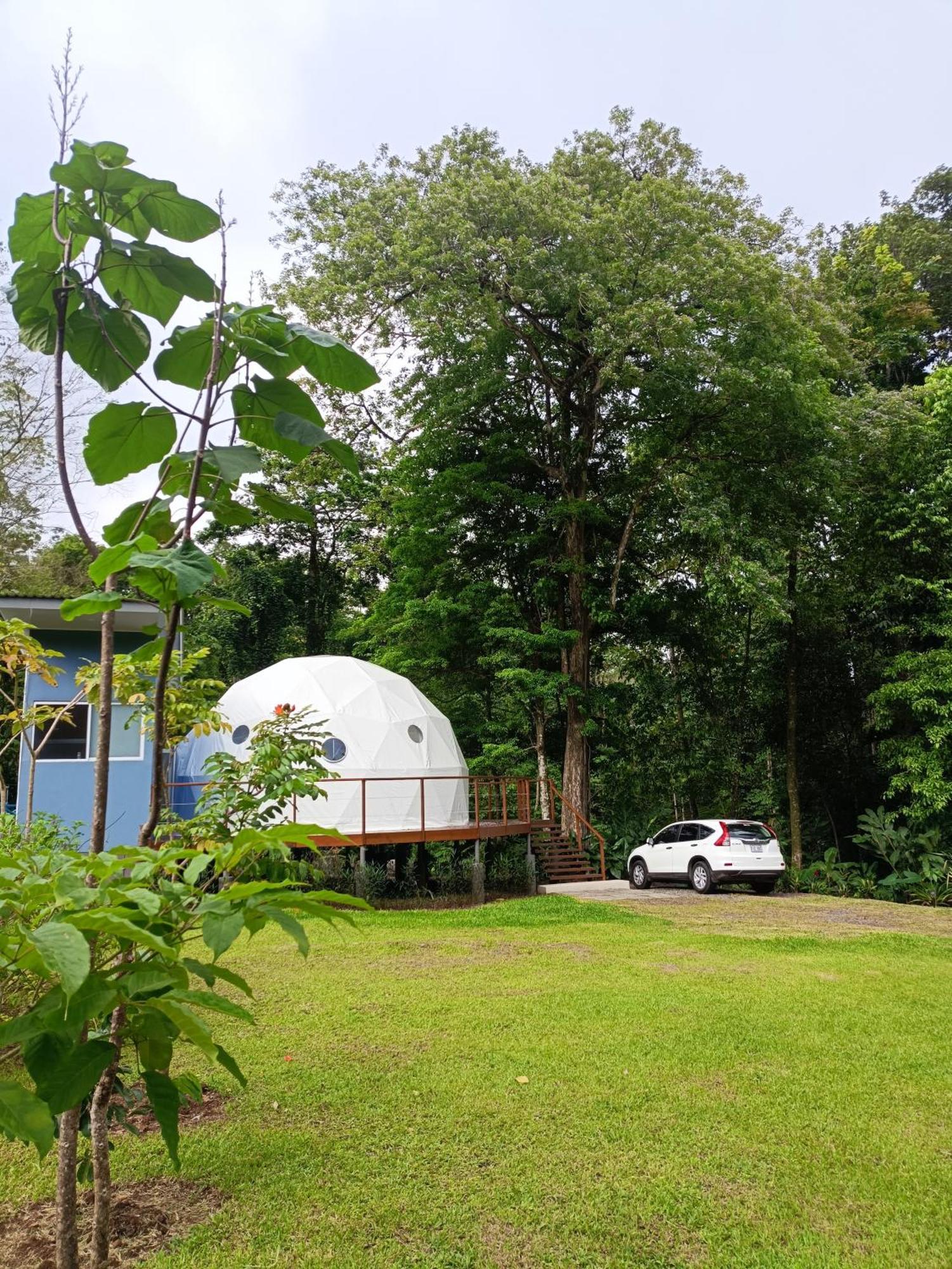 Bitzu Dome-Bijagua Riverside Glamping Exterior foto