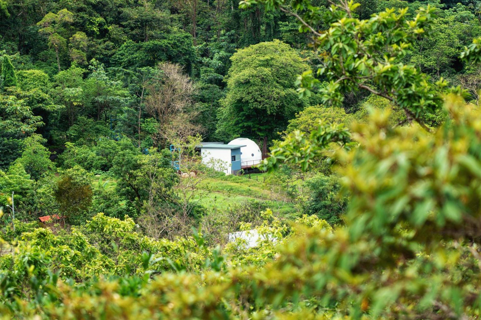 Bitzu Dome-Bijagua Riverside Glamping Exterior foto